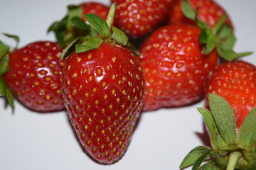 fruit, food, garden, farm, strawberry, lanka, sri, bangladesh, plantation, nursery, eliya, nuwara, indian, color, red, bright, plant, ripe, berry, summer, flower, season, landscape, close-up, freshnes