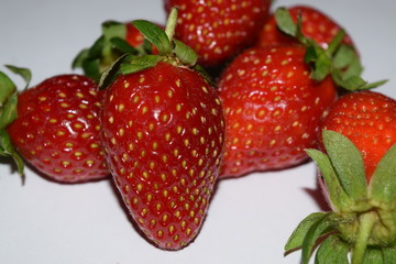 fruit, food, garden, farm, strawberry, lanka, sri, bangladesh, plantation, nursery, eliya, nuwara, indian, color, red, bright, plant, ripe, berry, summer, flower, season, landscape, close-up, freshnes