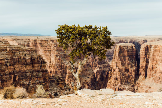 Grand Canyon, AZ