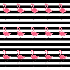 Vector illustration and pattern with Pink Flamingo on black and white background