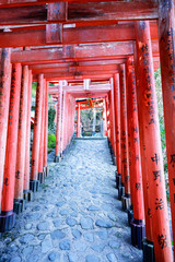 yutoku Inari Shrine is located in Kashima City, southern Saga Prefecture.Japan