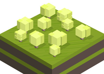 Creative square cubic trees. Isometric vector illustration of different types of wood for game design. Vector graphics.