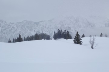 Fototapeta na wymiar Verschneite Landschaft nahe des Winterwanderwegs auf dem Fellhorn in Oberstdorf