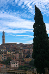 Fototapeta premium Fantastic panoramic view of Siena old town with medieval houses and Torre del mangia against a blue sky, Tuscany, Italy