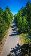 Aerial view of bicycle lane through forest