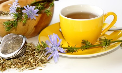 Wegwarte Tee, Naturheilkunde, Bitterstoffe