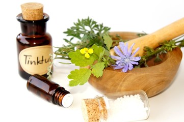 Wegwarte, Wermut und Schöllkraut, Homöopathie