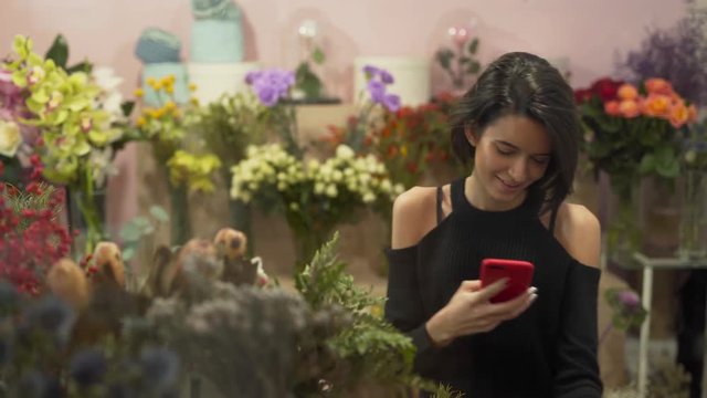 Beautiful slim thin hot sexy brunette in black shoulderless sweater touching different flowers and taking photos of flower while smiling fully and being satisfied. Flower shop concept