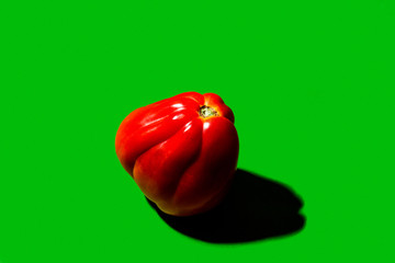 Red tomato in green background