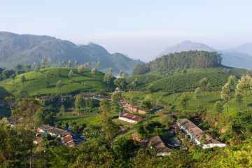 Village dans la région de Munnar, Kerala, Inde