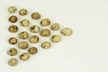 Fototapeta premium quail eggs on a light background