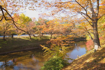 上田城 紅葉 秋