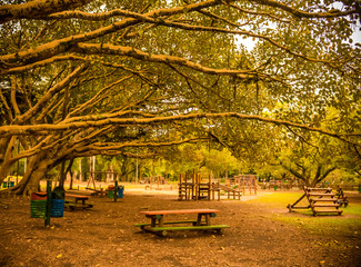 Obraz premium Parque