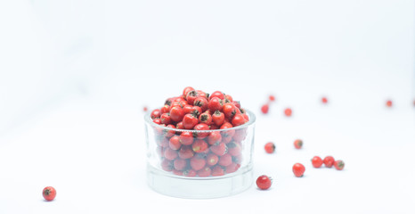 berries