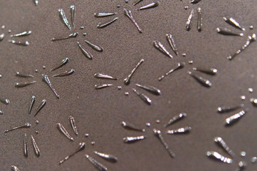 印伝 漆 伝統工芸 革