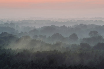 Mystical view from top on forest under haze at early morning. Eerie mist among layers from tree silhouettes in taiga under predawn sky. Morning atmospheric minimalistic landscape of majestic nature.