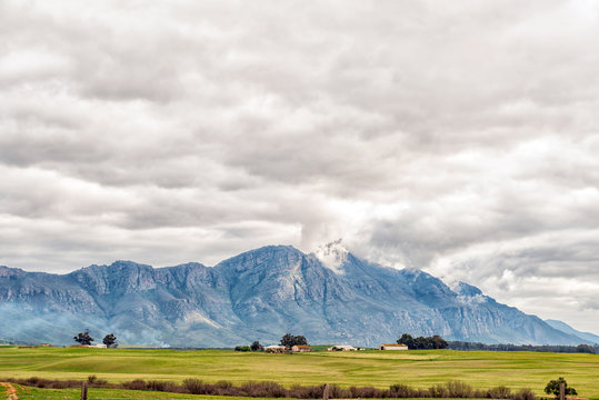 Farm landscape on road N7 between Piketberg and Citrusdal