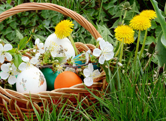 Easter eggs in a basket with grass