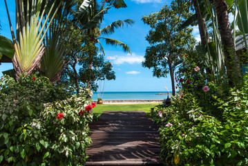 The path through the tropical garden to get to the beach, the blue sky of the summer vacation
