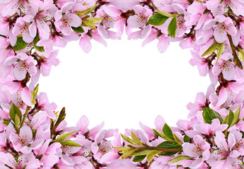 Floral frame with spring twigs of peach flowers and green leaves