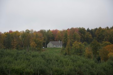 old barn in the field