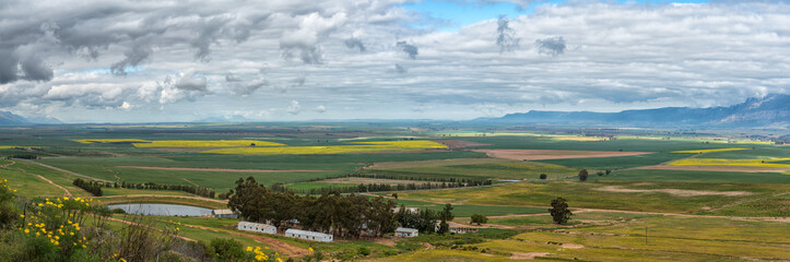 Panoramic farm landscape seen from the Piekenierskloof Pass