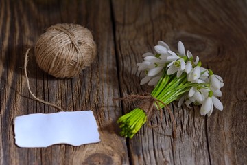 Snowdrop flowers and an empty note card on wooden background