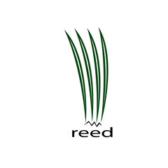 reed logo art