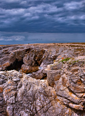 france; brittany; Quiberon :  cliffs, seagulls and clouds