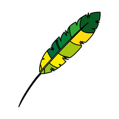 feather exotic colors icon