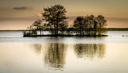trees on a small island in water. reflection of trees at dawn or dusk. 