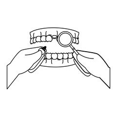 human teeth with magnifying glass