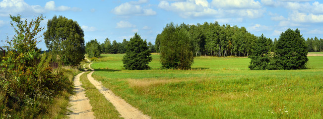 Jura krakowsko-częstochowska, polna droga, panorama
