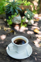 Black Coffee in the Garden