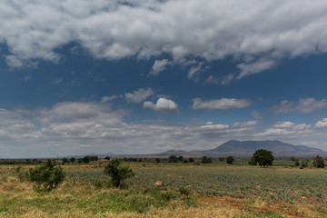 Obraz premium Tansania