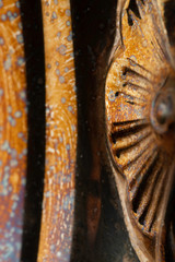 Patina on Silver Pitcher