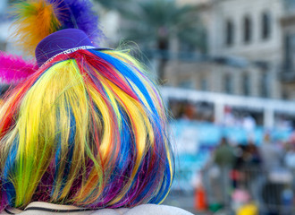 Colourful wig worn by a woman in New Orleans Street on Mardi Gras