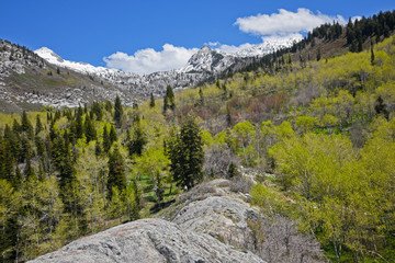 Mountains in the Fall - Lone Peak Wilderness, Utah