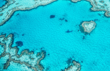Queensland coral reef as seen from the airplane, aerial view on a sunny day