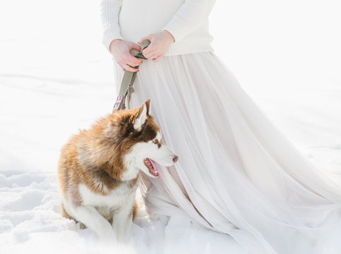 woman two dogs husky winter snow forest