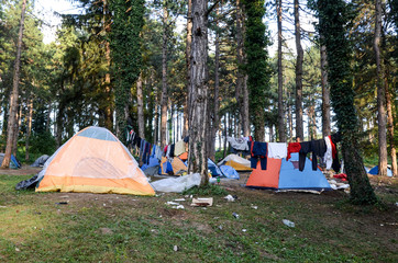 Fototapete bei efototapeten.de bestellen   