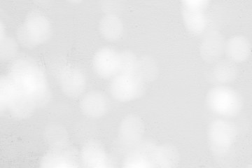 shadow of branches and leaves on a white wall