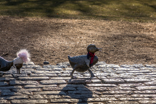 Make Way For Ducklings Stature - Boston Common