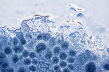 Whimsical macro abstract art background of frozen water condensation on a glass window in winter 