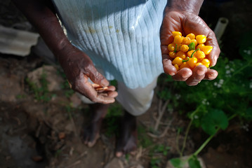 Presidente Kennedy Quilombola Community