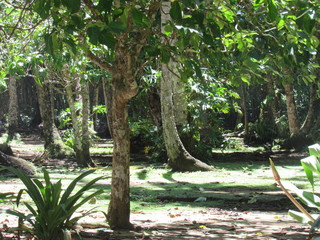 Manzanillo, Costa Rica