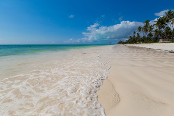 Fototapeta na wymiar Zanzibar, landscape sea, white sand