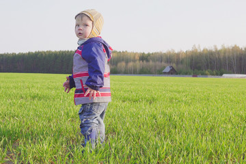 one year old boy farmer standing in the field with young wheat