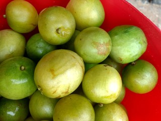 Umbu