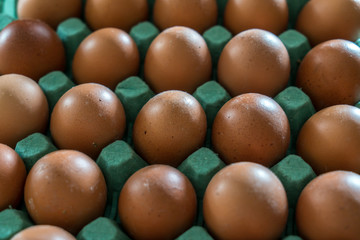 Brown eggs on cardboard tray